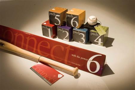 FirstMidwest baseball bat and baseballs