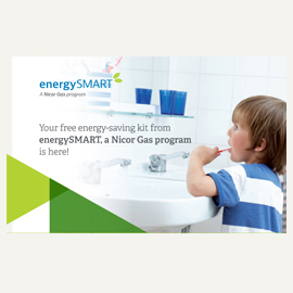 270x270_BOD_nicorToolkit_2019