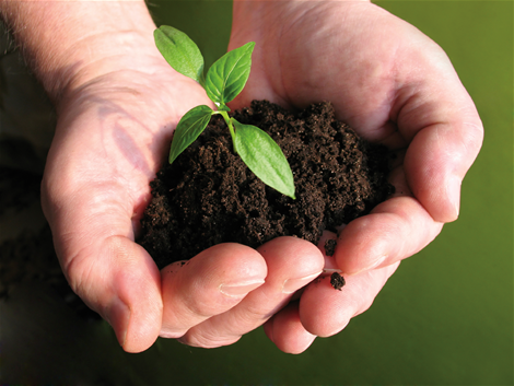 pushing out of hands_rgb